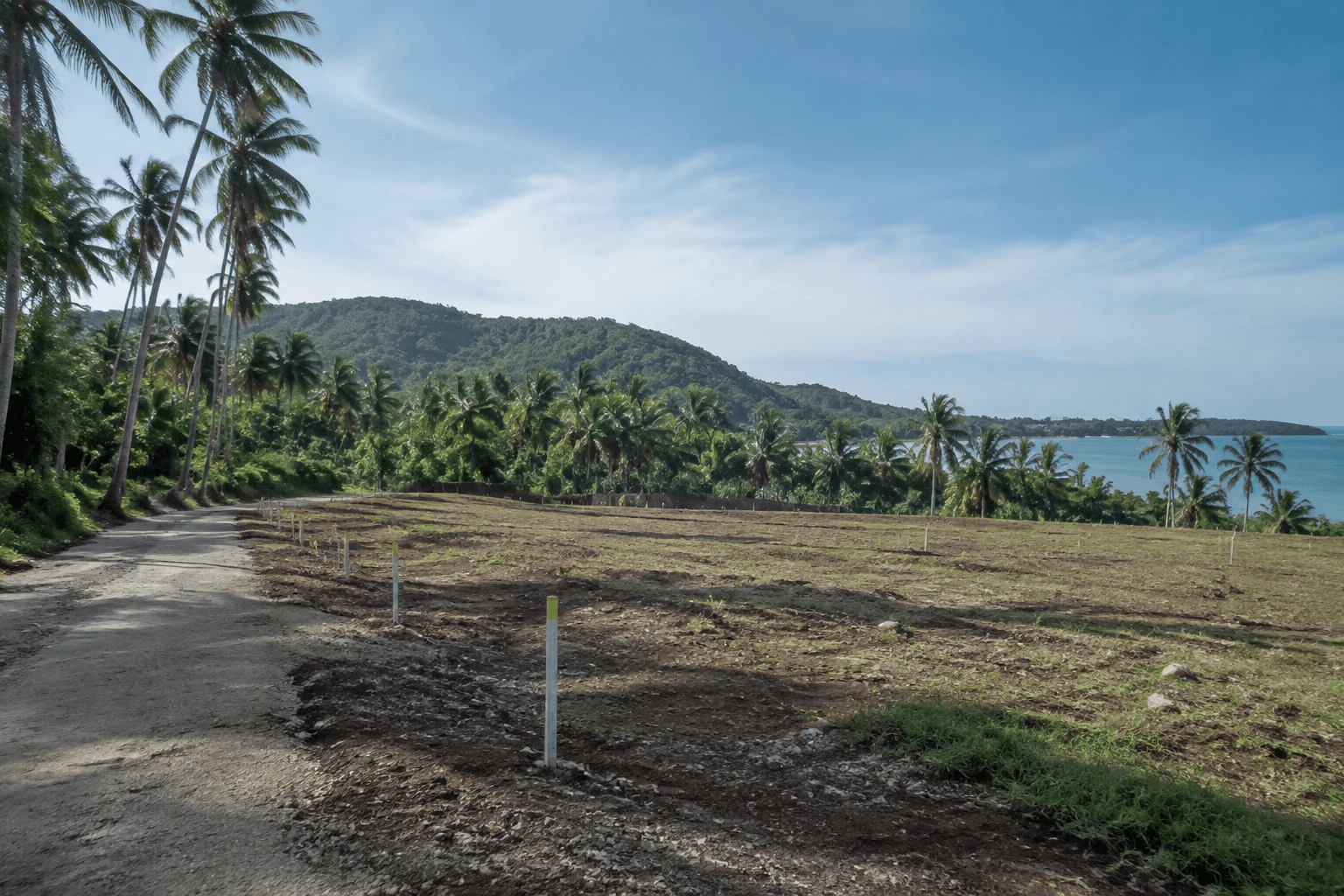 Coastal land and palms on Samal Island